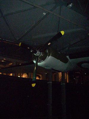 Obraz 053.jpg